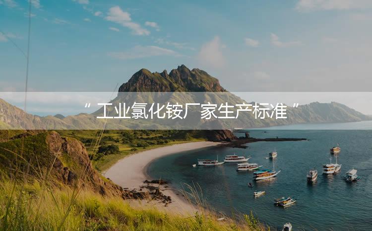 工業(yè)氯化銨廠家生產(chǎn)標(biāo)準(zhǔn)，生產(chǎn)過程進行嚴(yán)密的監(jiān)控！